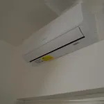 Il Vicolo *